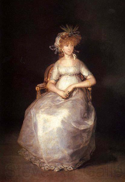 Francisco de Goya Portrait of the Maria Teresa de Borbon y Vallabriga, 15th Countess of Chinchon Norge oil painting art